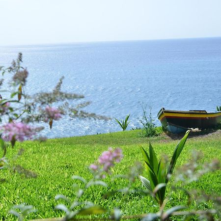 Quinta Golfinho Apartment Arco da Calheta  Ngoại thất bức ảnh