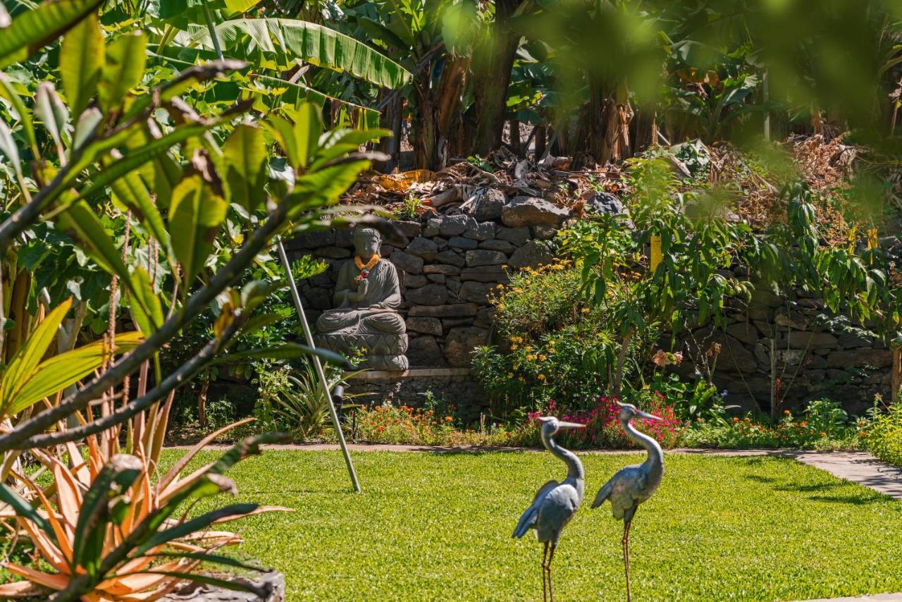 Quinta Golfinho Apartment Arco da Calheta  Ngoại thất bức ảnh