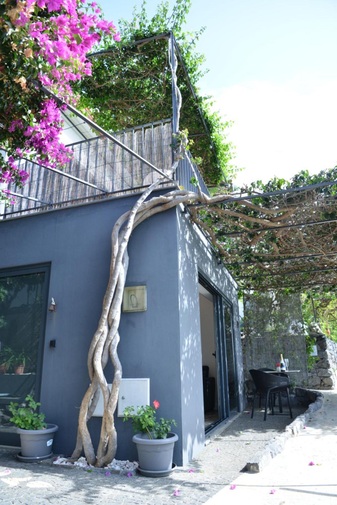 Quinta Golfinho Apartment Arco da Calheta  Ngoại thất bức ảnh