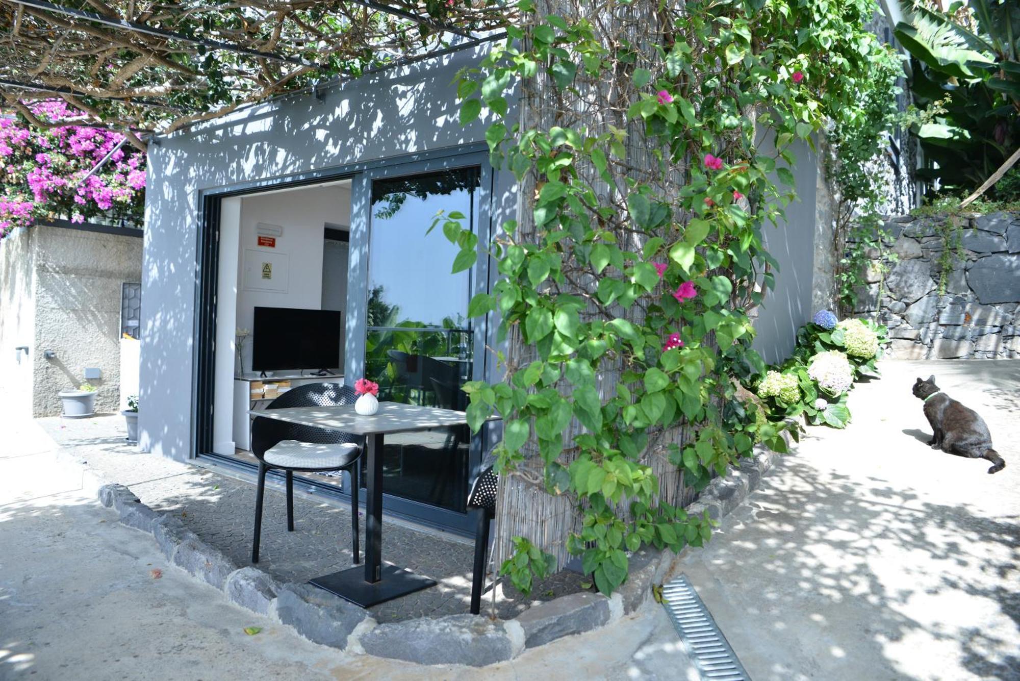 Quinta Golfinho Apartment Arco da Calheta  Ngoại thất bức ảnh
