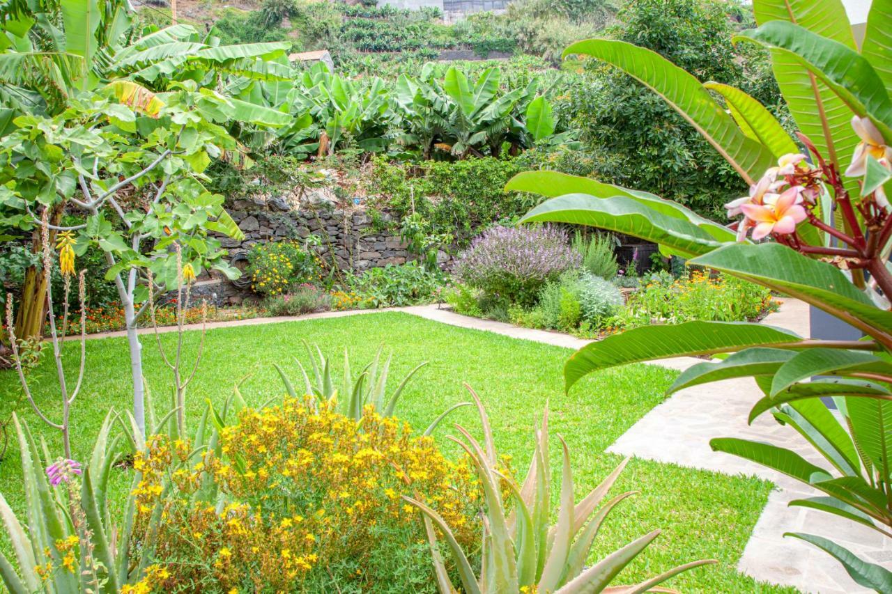 Quinta Golfinho Apartment Arco da Calheta  Ngoại thất bức ảnh