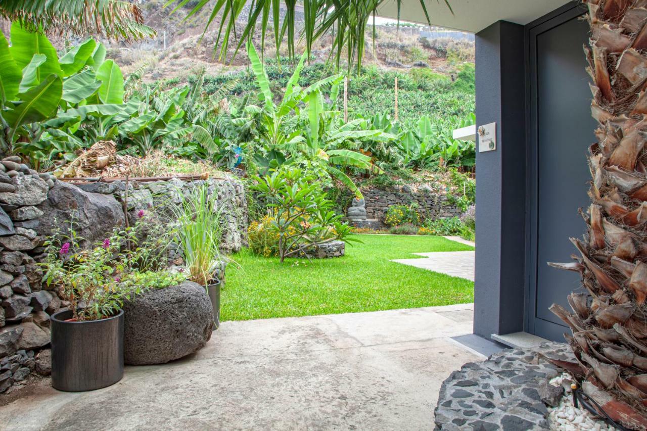 Quinta Golfinho Apartment Arco da Calheta  Ngoại thất bức ảnh