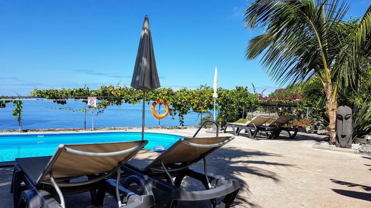 Quinta Golfinho Apartment Arco da Calheta  Ngoại thất bức ảnh